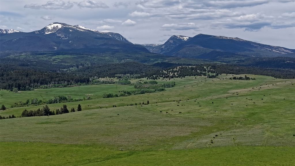 NHN Lot 10 Willow Creek Loop Road, Deer Lodge, MT 59722 photo 16