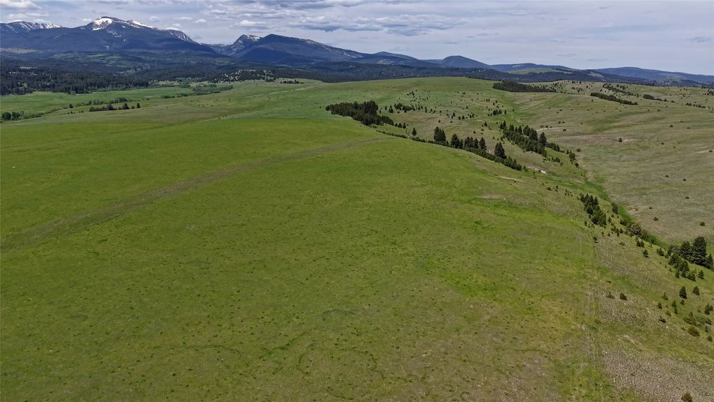 NHN Lot 10 Willow Creek Loop Road, Deer Lodge, MT 59722 photo 8