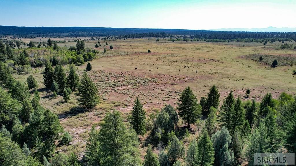Image 10 of property listing at 1780 Sadorus Hill Road, Ashton, ID 83420