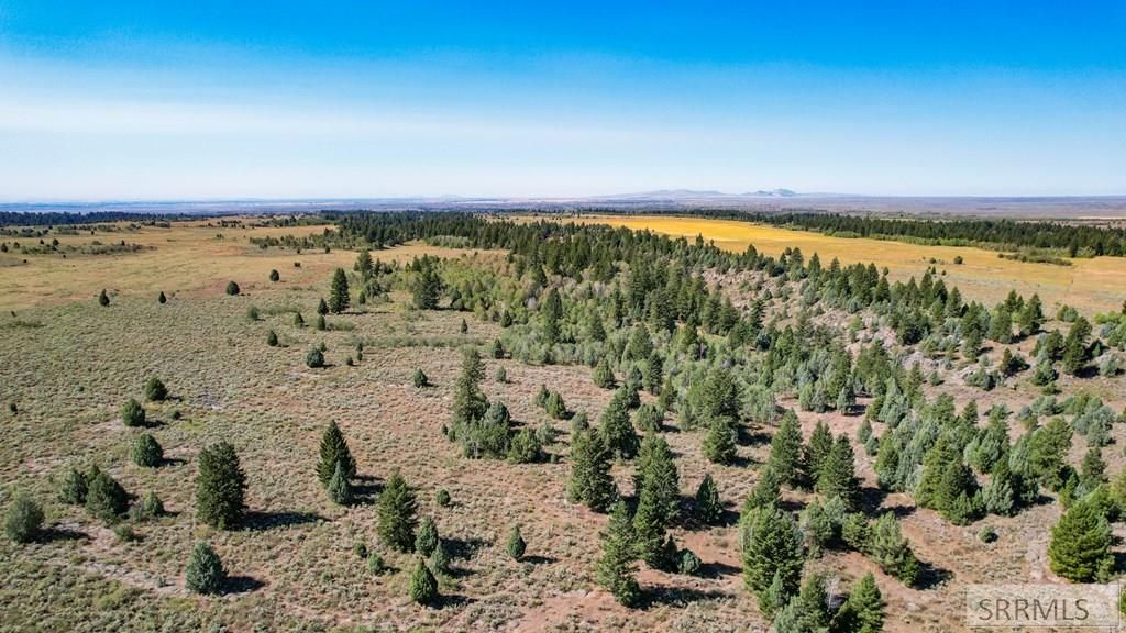 Image 12 of property listing at 1780 Sadorus Hill Road, Ashton, ID 83420