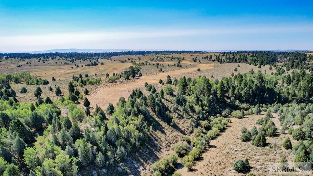 Image 13 of property listing at 1780 Sadorus Hill Road, Ashton, ID 83420