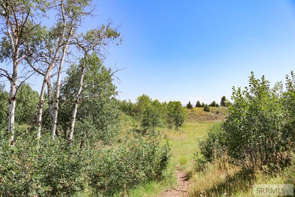 Image 17 of property listing at 1780 Sadorus Hill Road, Ashton, ID 83420