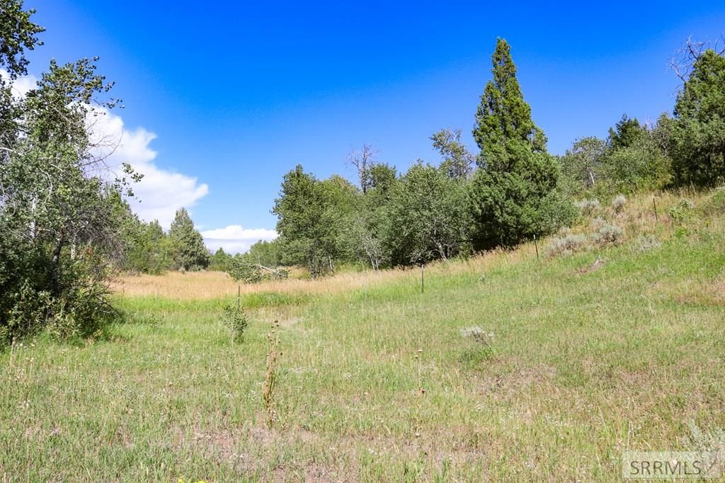 Image 18 of property listing at 1780 Sadorus Hill Road, Ashton, ID 83420