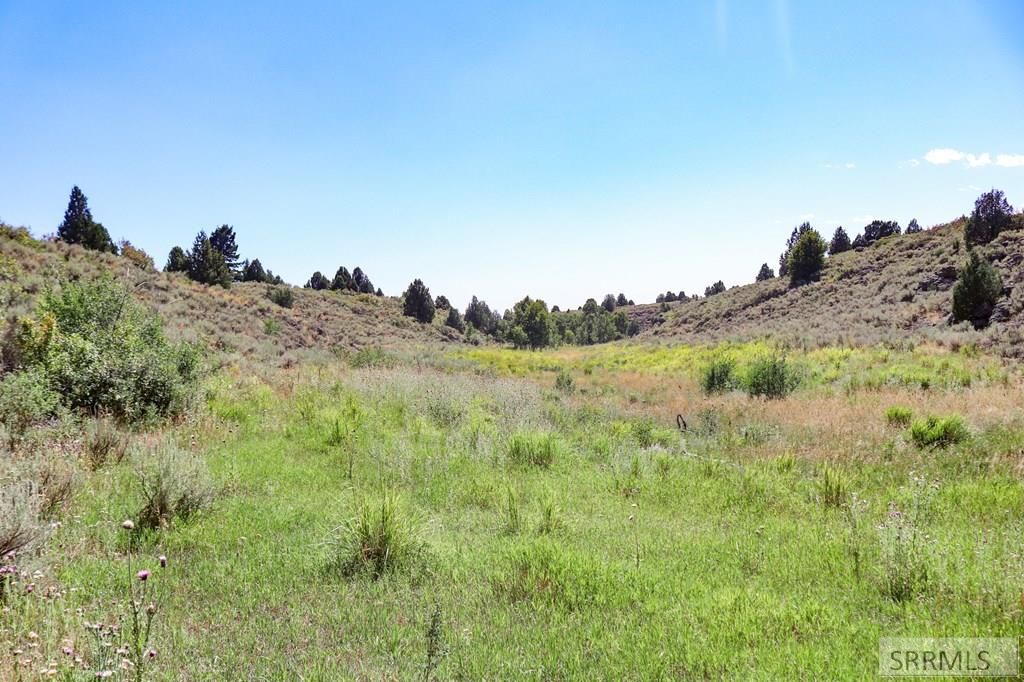Image 19 of property listing at 1780 Sadorus Hill Road, Ashton, ID 83420