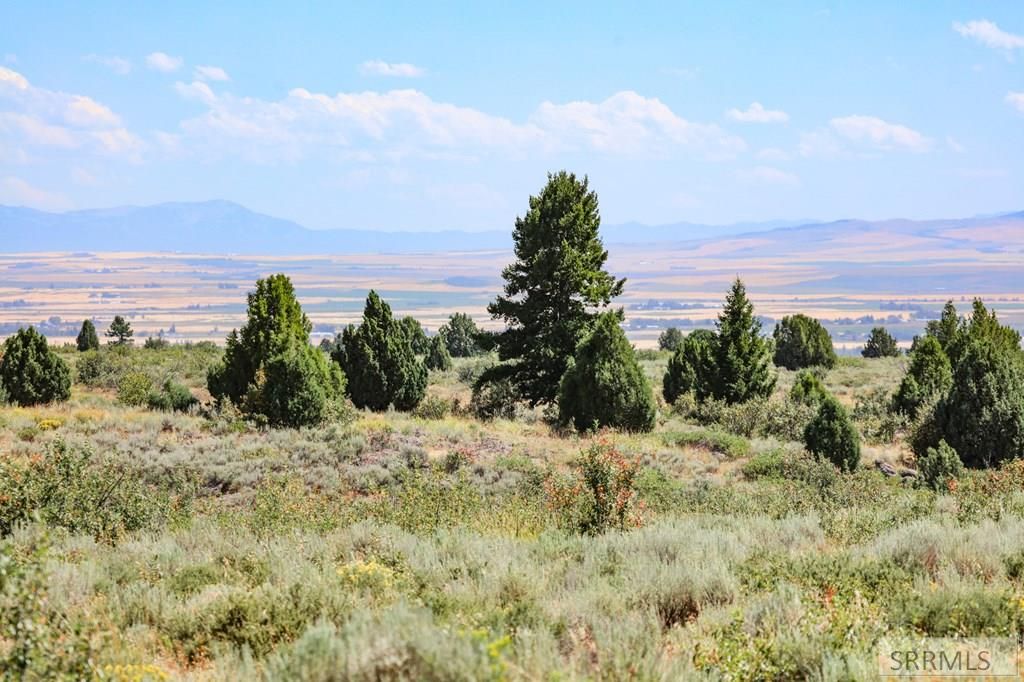 Image 28 of property listing at 1780 Sadorus Hill Road, Ashton, ID 83420