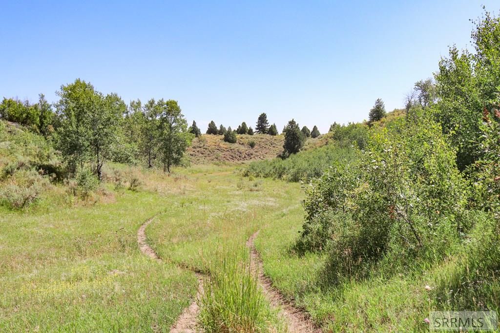 Image 30 of property listing at 1780 Sadorus Hill Road, Ashton, ID 83420