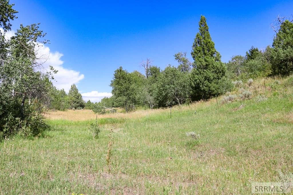 Image 31 of property listing at 1780 Sadorus Hill Road, Ashton, ID 83420