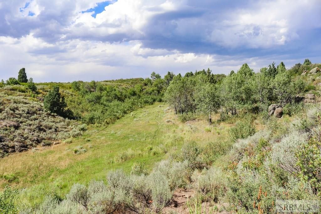 Image 32 of property listing at 1780 Sadorus Hill Road, Ashton, ID 83420