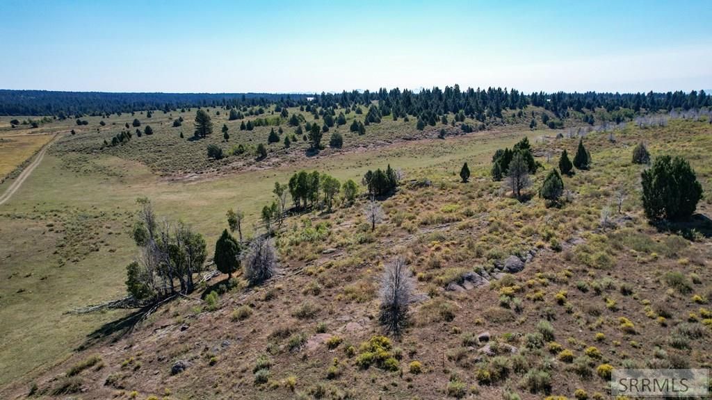 Image 8 of property listing at 1780 Sadorus Hill Road, Ashton, ID 83420