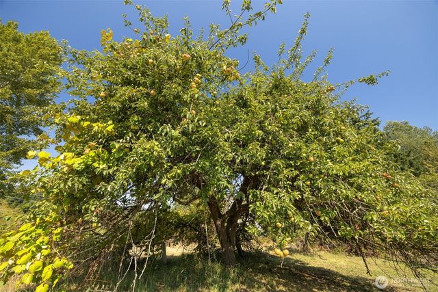 4269 Dewey Road, Bellingham, WA 98226