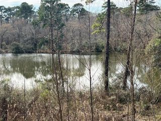 25615 Timberlakes Dr, Spring, TX 77380