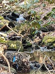 8 acres Liberty Hill Road, Morganton, GA 30560