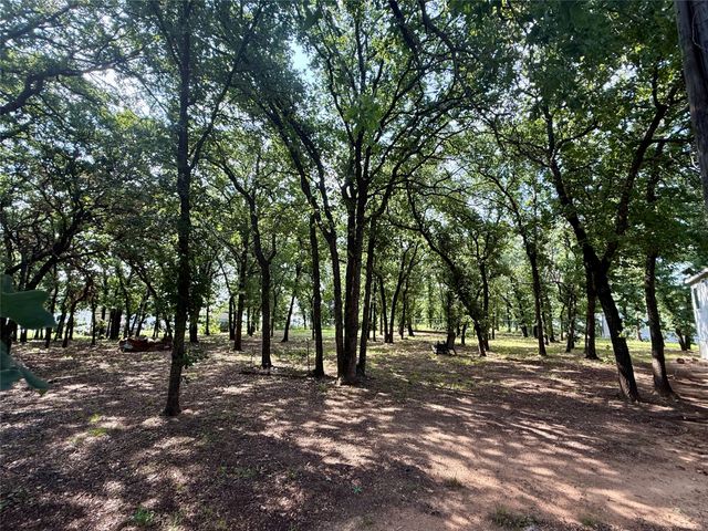 145 Adalida Lane, Springtown, TX 76082