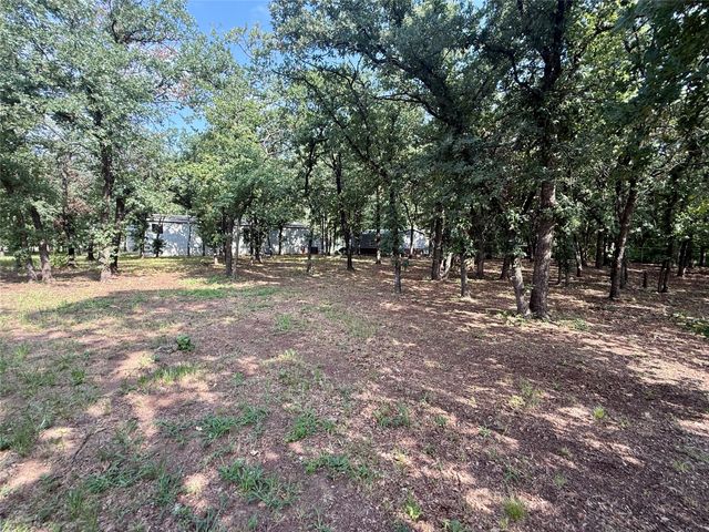 145 Adalida Lane, Springtown, TX 76082
