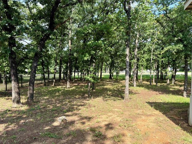 145 Adalida Lane, Springtown, TX 76082