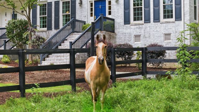 504 Appaloosa Trail, Bahama, NC 27503