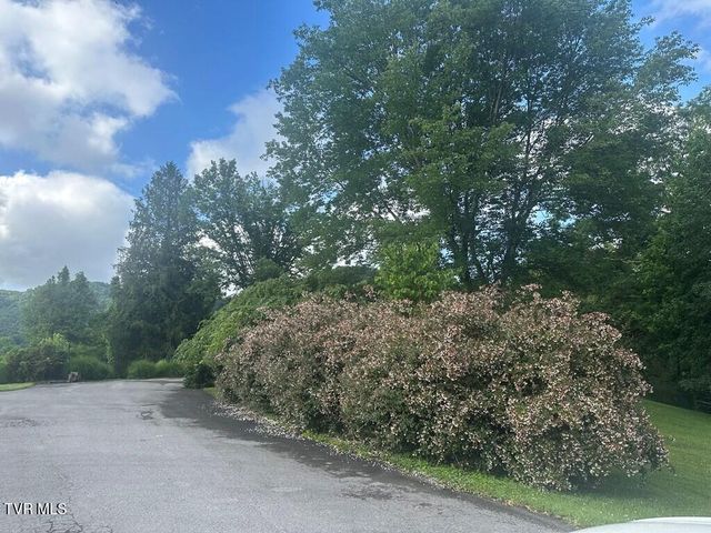 279 Alfalfa Field, Cedar Bluff, VA 24609