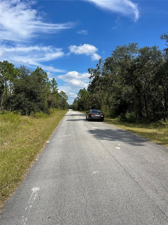 00 SW BLUE BERRY LANE Lot 11, Dunnellon, FL 34431