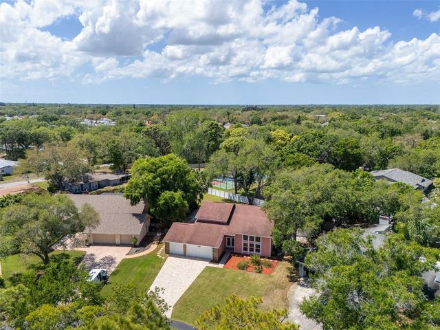 1550 CHATEAU WOOD DRIVE, Clearwater, FL 33764