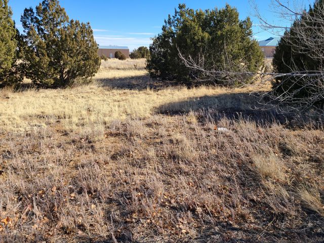 4 Eunice Court, Edgewood, NM 87015