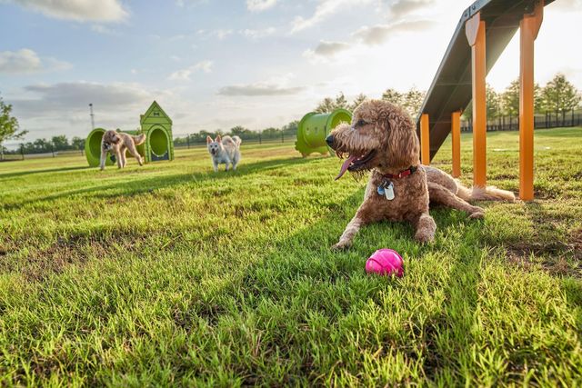 7727 Cattail Shallows Lane, Katy, TX 77493