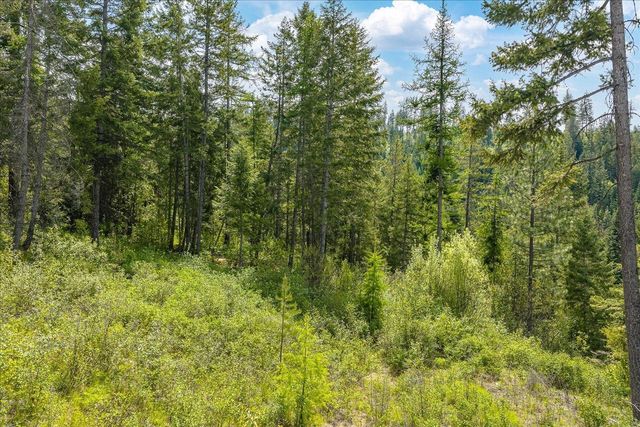NNA N Jackson Rd, Elk, WA 99009