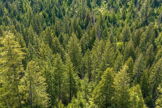 NNA N Jackson Rd, Elk, WA 99009