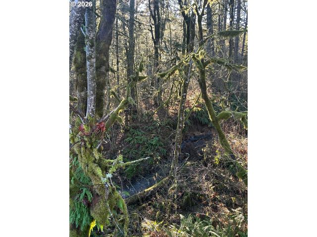 Rock Creek Rd 1, Sheridan, OR 97378