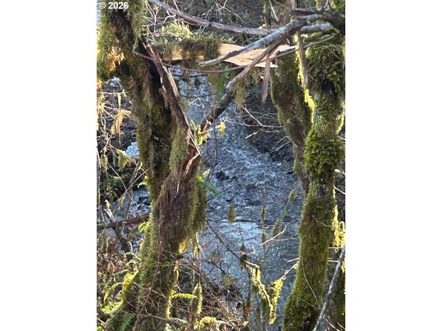 Rock Creek Rd 1, Sheridan, OR 97378