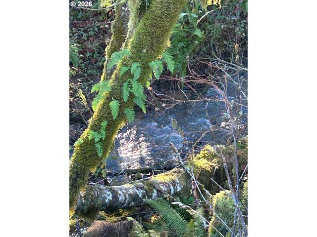 Rock Creek Rd 1, Sheridan, OR 97378
