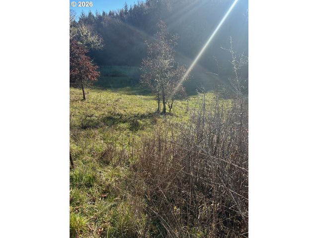 Rock Creek Rd 1, Sheridan, OR 97378