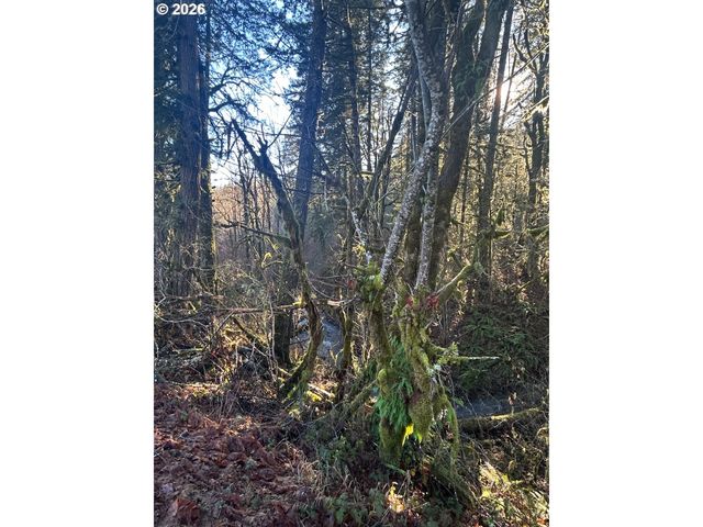 Rock Creek Rd 1, Sheridan, OR 97378