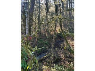 Rock Creek Rd 1, Sheridan, OR 97378