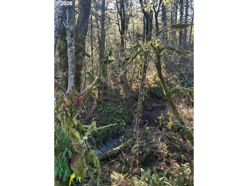Rock Creek Rd 1, Sheridan, OR 97378
