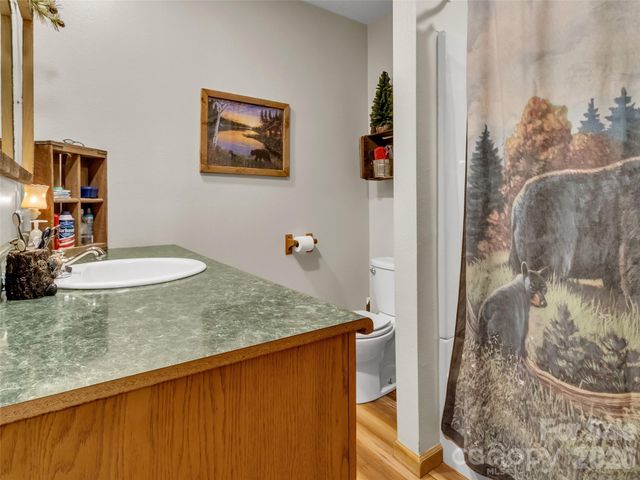 555 Acres View Drive, Waynesville, NC 28786