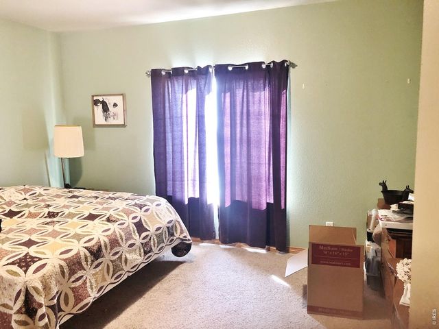 3243 Ambush Dr, Wellington, CO 80549