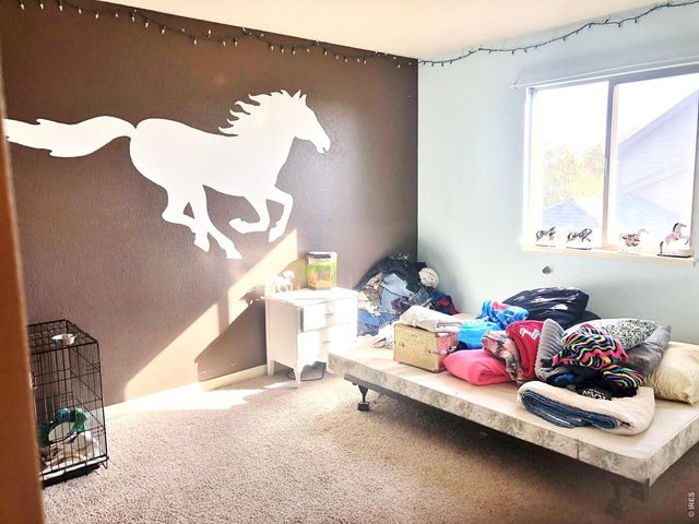 3243 Ambush Dr, Wellington, CO 80549