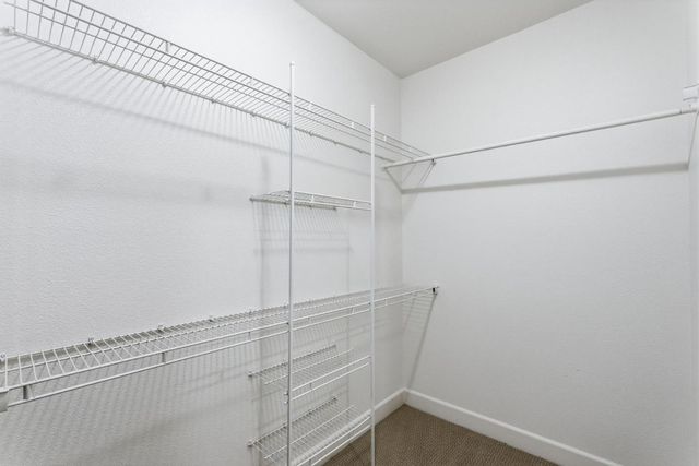 504 San Jorge Terrace, Sunnyvale, CA 94089