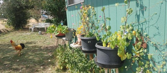 25484 Rim Drive, Chiloquin, OR 97624