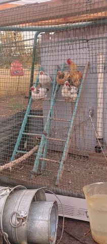 25484 Rim Drive, Chiloquin, OR 97624