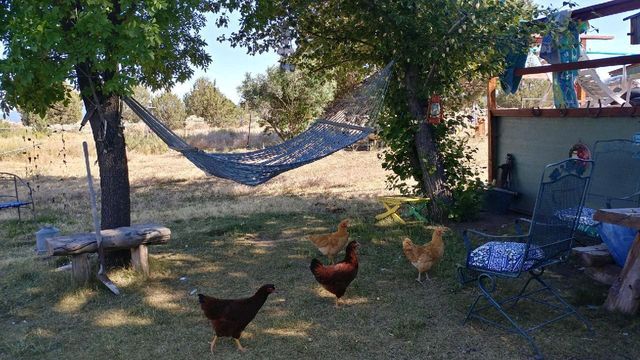 25484 Rim Drive, Chiloquin, OR 97624