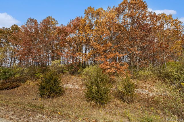 11136 Delphinium Drive, Tyrone Township, MI 48430