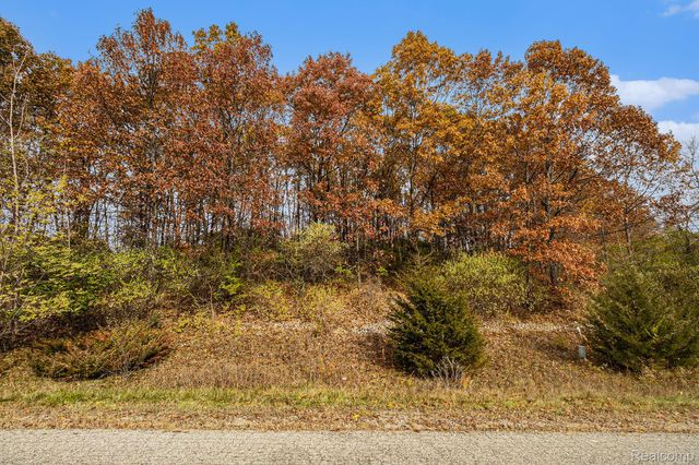 11136 Delphinium Drive, Tyrone Township, MI 48430