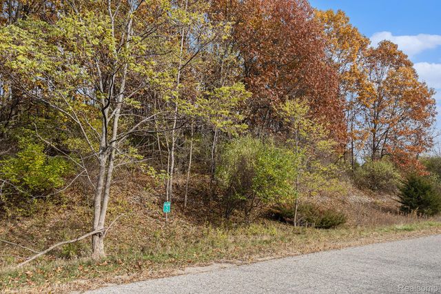 11136 Delphinium Drive, Tyrone Township, MI 48430
