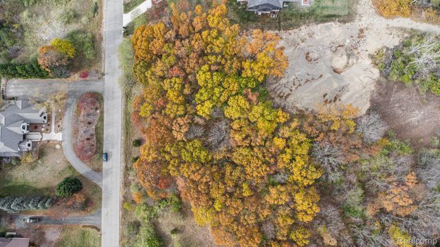 11136 Delphinium Drive, Tyrone Township, MI 48430