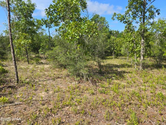 Lot 17 Trellis Drive, Chipley, FL 32428
