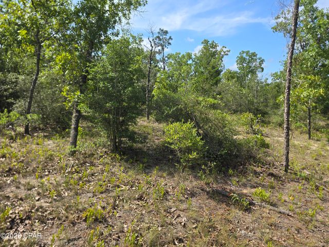 Lot 17 Trellis Drive, Chipley, FL 32428