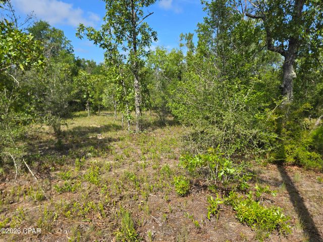 Lot 17 Trellis Drive, Chipley, FL 32428