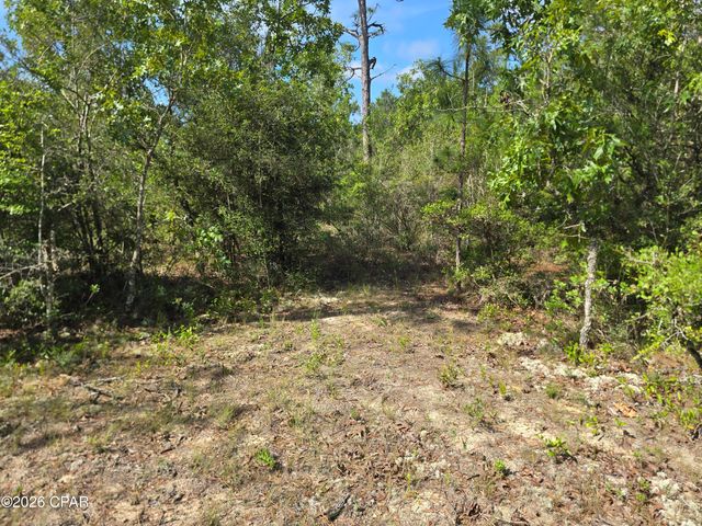 Lot 17 Trellis Drive, Chipley, FL 32428