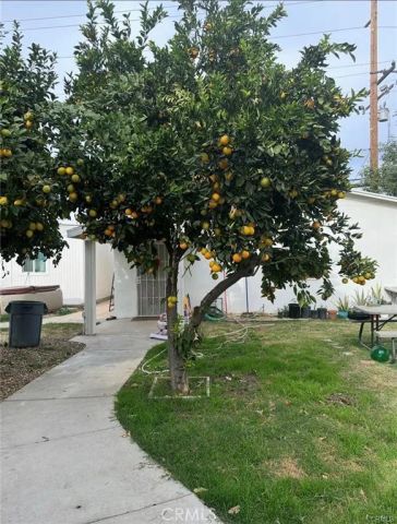 1632 Gould, Loma Linda, CA 92354